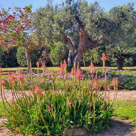Villa Casamaka