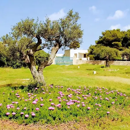 Casamaka